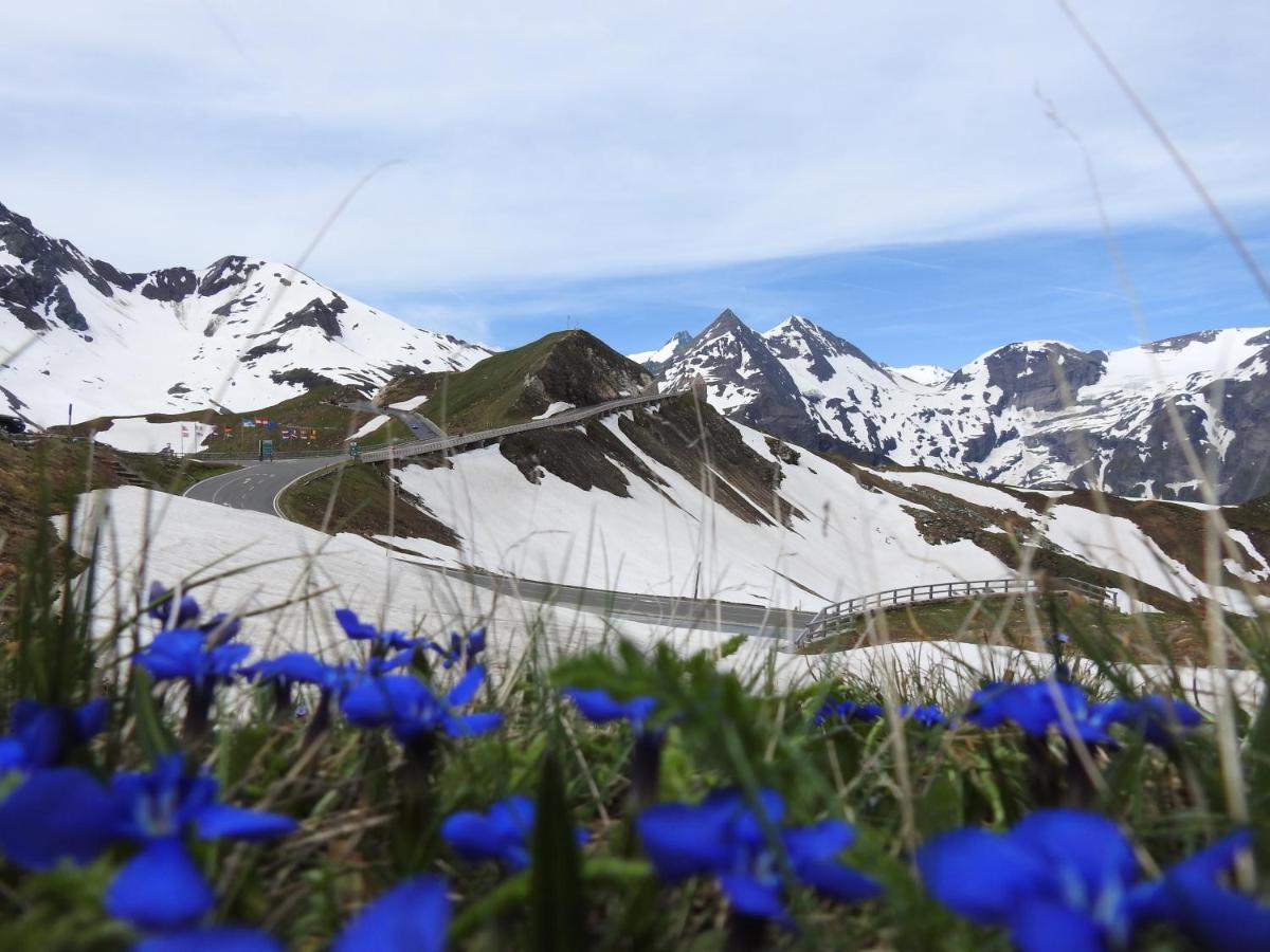 Pension Alpenrose 滨湖采尔 外观 照片