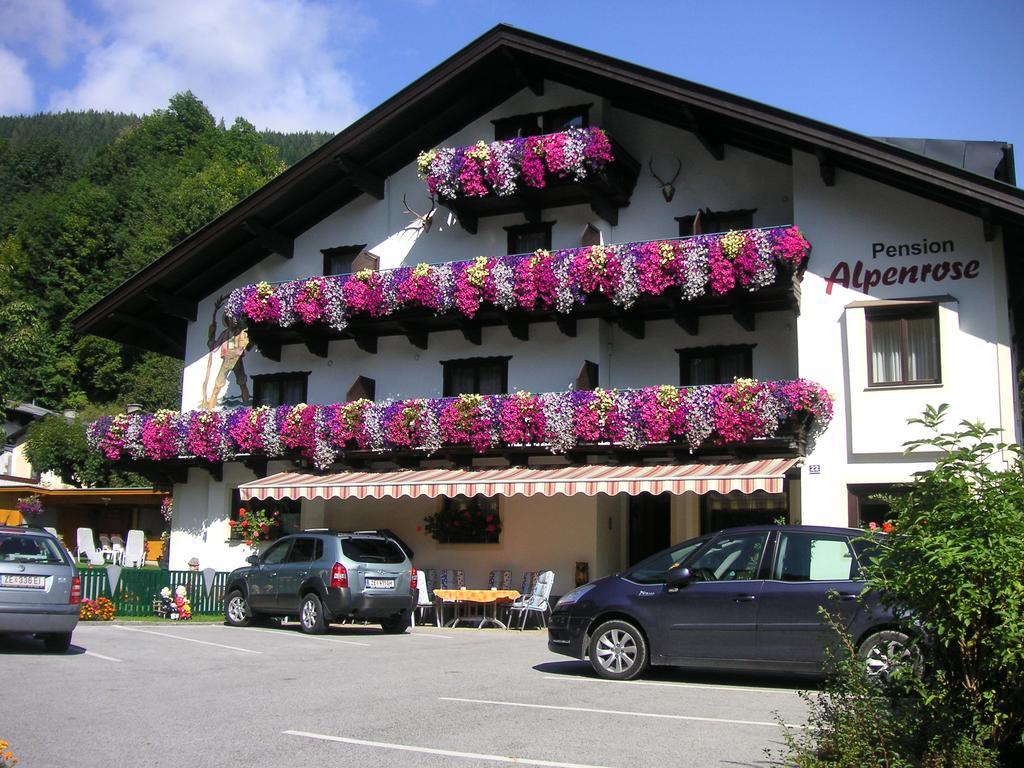 Pension Alpenrose 滨湖采尔 外观 照片